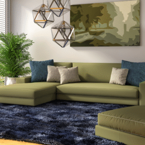 كنب راقي وستائر حديثة